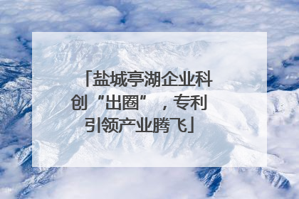 盐城亭湖企业科创“出圈”，专利引领产业腾飞