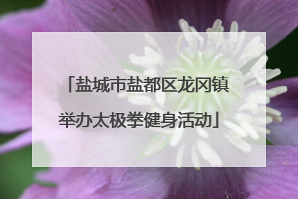 盐城市盐都区龙冈镇举办太极拳健身活动