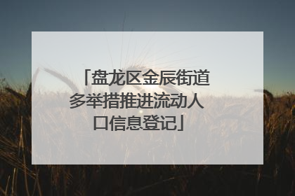 盘龙区金辰街道多举措推进流动人口信息登记