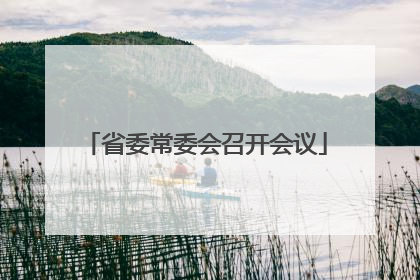 省委常委会召开会议