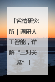 省情研究所｜调研人工智能，详解“三对关系”