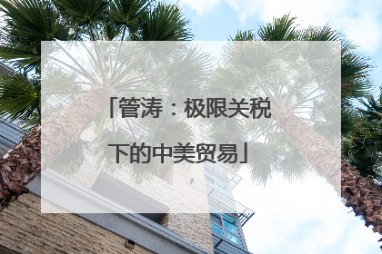 管涛：极限关税下的中美贸易