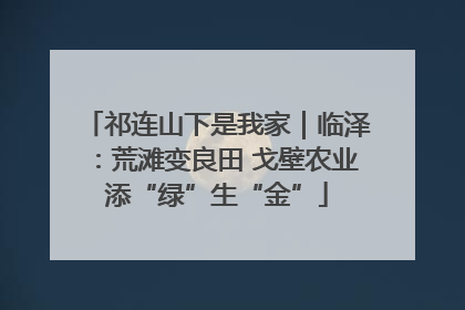 祁连山下是我家｜临泽：荒滩变良田 戈壁农业添“绿”生“金”
