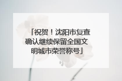 祝贺！沈阳市复查确认继续保留全国文明城市荣誉称号
