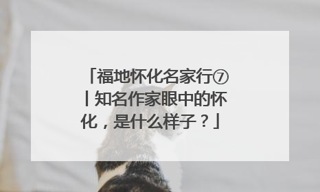 福地怀化名家行⑦丨知名作家眼中的怀化，是什么样子？