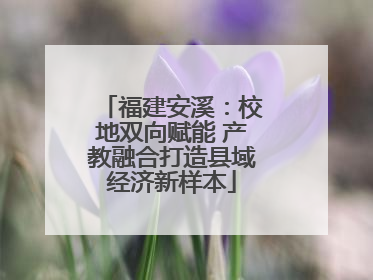 福建安溪：校地双向赋能 产教融合打造县域经济新样本