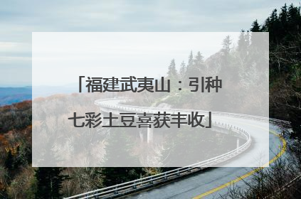福建武夷山：引种七彩土豆喜获丰收