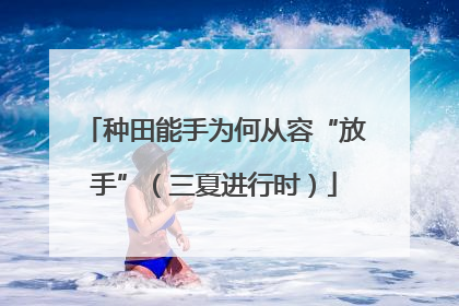 种田能手为何从容“放手”（三夏进行时）