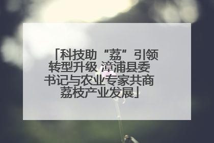 科技助“荔”引领转型升级 漳浦县委书记与农业专家共商荔枝产业发展