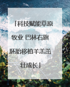 科技赋能草原牧业 巴林右旗胚胎移植羊羔茁壮成长