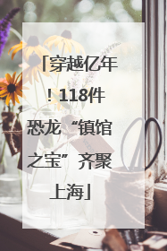 穿越亿年！118件恐龙“镇馆之宝”齐聚上海