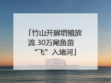 竹山开展增殖放流 30万尾鱼苗“飞”入堵河