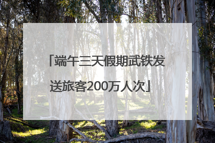 端午三天假期武铁发送旅客200万人次