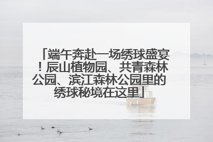 端午奔赴一场绣球盛宴！辰山植物园、共青森林公园、滨江森林公园里的绣球秘境在这里