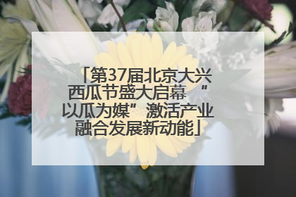 第37届北京大兴西瓜节盛大启幕 “以瓜为媒”激活产业融合发展新动能