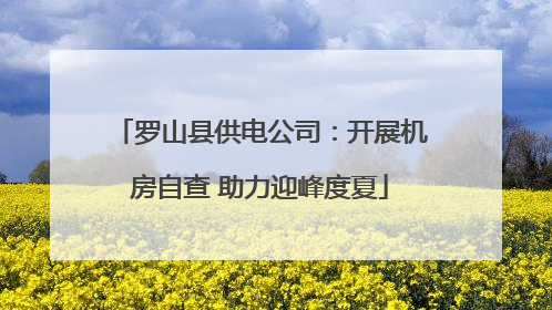罗山县供电公司：开展机房自查 助力迎峰度夏