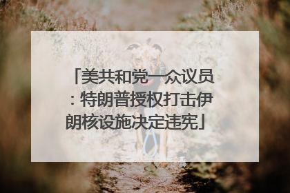美共和党一众议员：特朗普授权打击伊朗核设施决定违宪