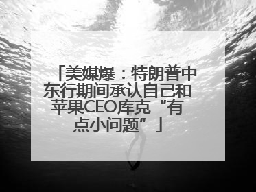 美媒爆：特朗普中东行期间承认自己和苹果CEO库克“有点小问题”