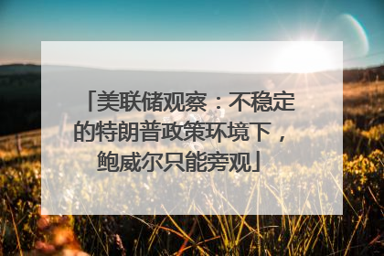 美联储观察：不稳定的特朗普政策环境下，鲍威尔只能旁观
