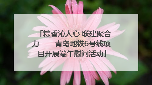 粽香沁人心 联建聚合力——青岛地铁6号线项目开展端午慰问活动