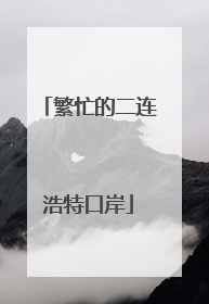 繁忙的二连浩特口岸