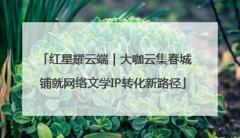红星耀云端｜大咖云集春城 铺就网络文学IP转化新路径