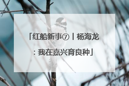 红船新事⑦丨杨海龙：我在嘉兴育良种