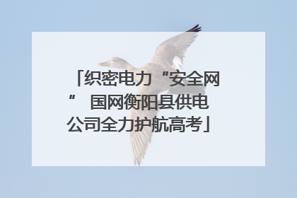 织密电力“安全网” 国网衡阳县供电公司全力护航高考