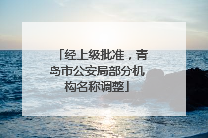 经上级批准，青岛市公安局部分机构名称调整
