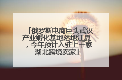 俄罗斯电商巨头武汉产业孵化基地落地江夏，今年预计入驻上千家湖北跨境卖家