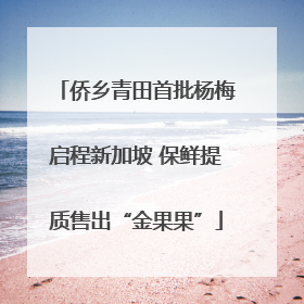侨乡青田首批杨梅启程新加坡 保鲜提质售出“金果果”