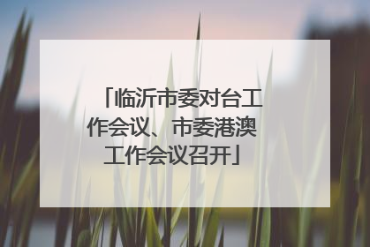 临沂市委对台工作会议、市委港澳工作会议召开