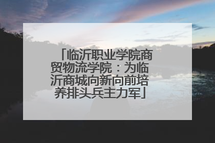 临沂职业学院商贸物流学院：为临沂商城向新向前培养排头兵主力军