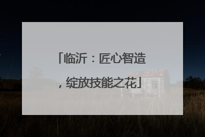 临沂：匠心智造，绽放技能之花