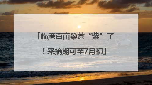 临港百亩桑葚“紫”了！采摘期可至7月初