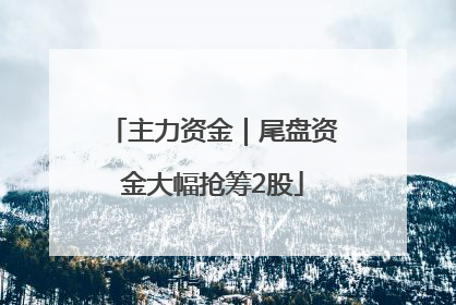 主力资金｜尾盘资金大幅抢筹2股