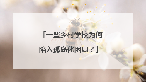 一些乡村学校为何陷入孤岛化困局？