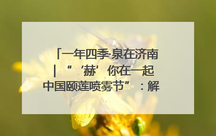 一年四季·泉在济南｜“‘赫’你在一起 中国颐莲喷雾节”：解锁济南夏日消费热潮中的国货新势力