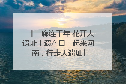 一廊连千年 花开大遗址丨遗产日一起来河南，行走大遗址