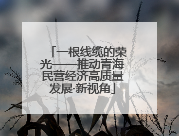 一根线缆的荣光——推动青海民营经济高质量发展·新视角