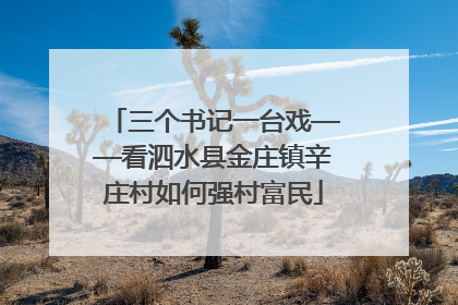 三个书记一台戏——看泗水县金庄镇辛庄村如何强村富民