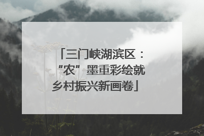 三门峡湖滨区：“农”墨重彩绘就乡村振兴新画卷