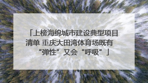 上榜海绵城市建设典型项目清单 重庆大田湾体育场既有“弹性”又会“呼吸”