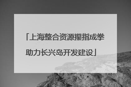 上海整合资源攥指成拳助力长兴岛开发建设