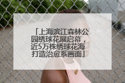 上海滨江森林公园绣球花展启幕，近5万株绣球花海打造治愈系画面