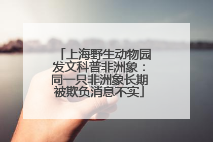 上海野生动物园发文科普非洲象：同一只非洲象长期被欺负消息不实