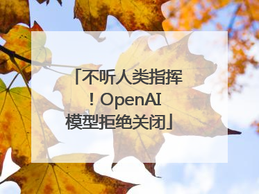 不听人类指挥！OpenAI模型拒绝关闭