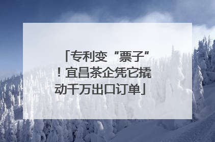 专利变“票子”！宜昌茶企凭它撬动千万出口订单
