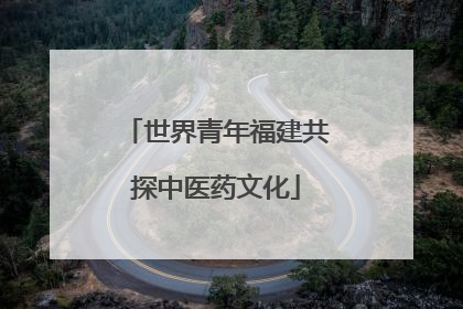 世界青年福建共探中医药文化