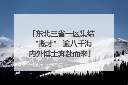 东北三省一区集结“揽才” 逾八千海内外博士奔赴而来
